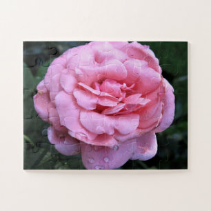 Queen Elizabeth Rose Puzzle
