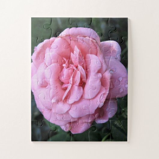 Queen Elizabeth Rose Puzzle (Vertikal)