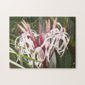 Queen Emma Crinum Lilies Puzzle (Horizontal)