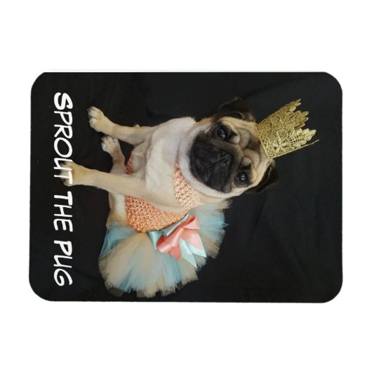 Queen Foto Magnet (Horizontal)