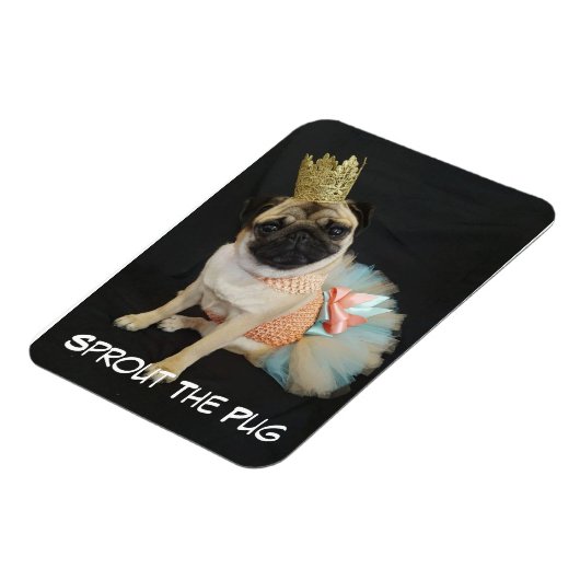 Queen Foto Magnet (Linke Seite)