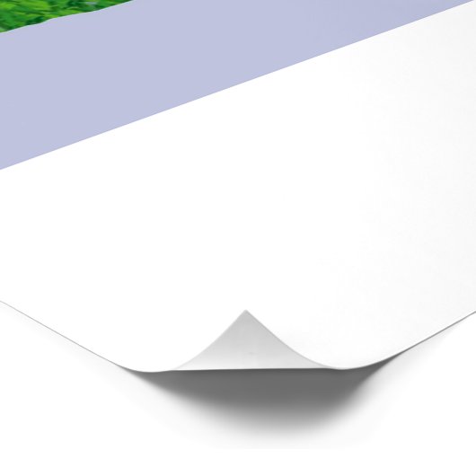 Queen Goose Poster (Ecke)