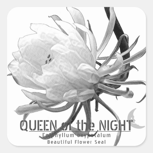 Queen of the Night スクエアシール Quadratischer Aufkleber (Vorderseite)