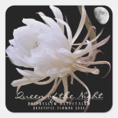 Queen of the Night スクエアシール Quadratischer Aufkleber (Vorderseite)