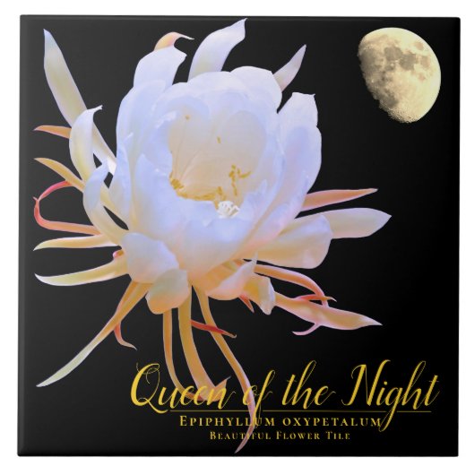 Queen of the Night タイル Fliese (Vorderseite)