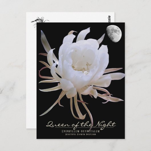 Queen of the Night ポストカード Postkarte (Vorne/Hinten)