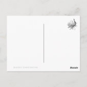 Queen of the Night ポストカード Postkarte (Rückseite)