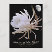 Queen of the Night ポストカード Postkarte (Vorderseite)