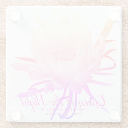 Queen of the Night Glasuntersetzer (Rückseite)