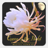 Queen of the Night Quadratischer Aufkleber (Vorderseite)
