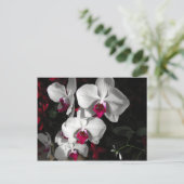 Queen Orchid Postkarte (Stehend Vorderseite)