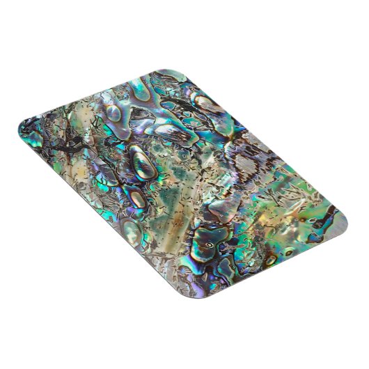 Queen paua Muschel Magnet (Rechte Seite)