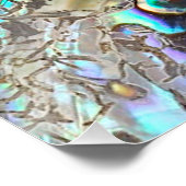 Queen paua Muschel Poster (Ecke)