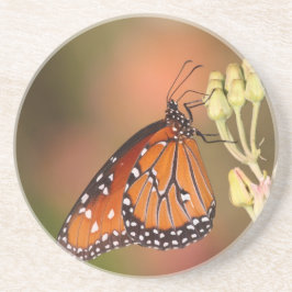 Queen-Schmetterling auf einem Ast Getränkeuntersetzer