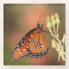 Queen-Schmetterling auf einem Ast Glasuntersetzer
