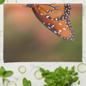 Queen-Schmetterling auf einem Ast Küchentuch (Gefaltet)