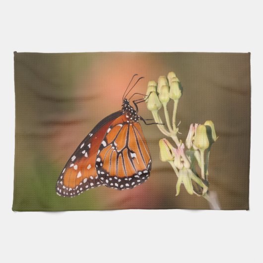 Queen-Schmetterling auf einem Ast Küchentuch (Horizontal)