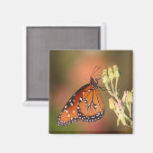 Queen-Schmetterling auf einem Ast Magnet (Vorderseite/Rückseite)