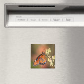 Queen-Schmetterling auf einem Ast Magnet (In Situ (Geschirrspüler))