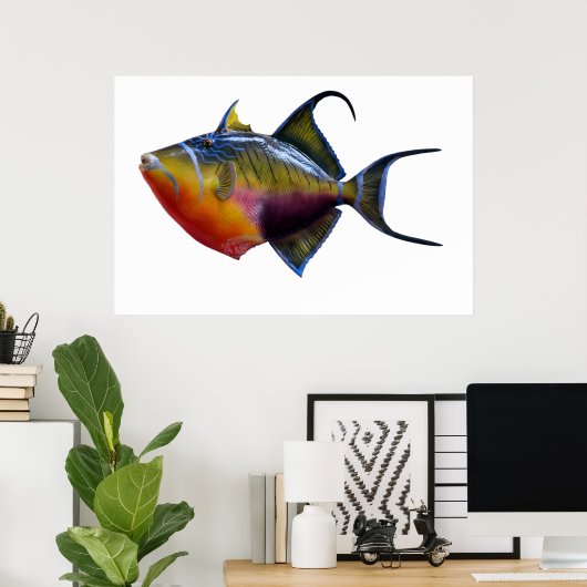 Queen Trigger Fish Poster (Heimbüro)