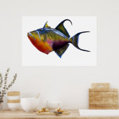 Queen Trigger Fish Poster (Küche)