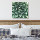 Queen Victoria agave Leinwand (Insitu (Schlafzimmer))