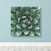 Queen Victoria agave Leinwand (Insitu (Holzboden))