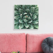 Queen Victoria agave Leinwand (Insitu (Wohnzimmer))
