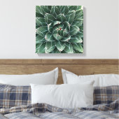 Queen Victoria agave Leinwand (Insitu (Schlafzimmer))