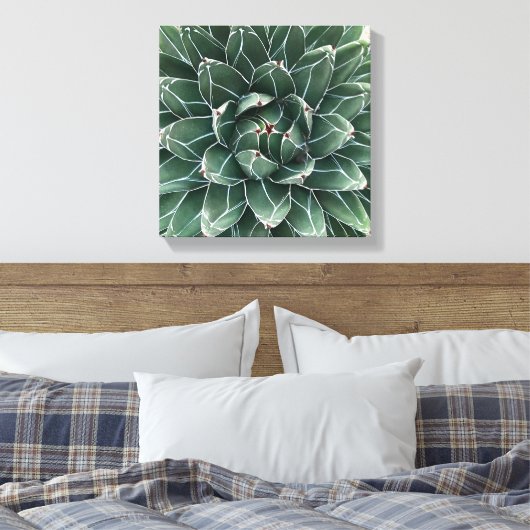 Queen Victoria agave Leinwand (Insitu (Schlafzimmer))
