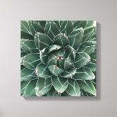 Queen Victoria agave Leinwand (Vorderseite)