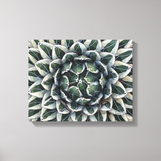 Queen Victoria agave, variiert Leinwanddruck (Vorderseite)