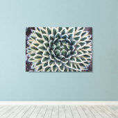 Queen Victoria Agave, weiße Form Leinwanddruck (Insitu (Holzboden))