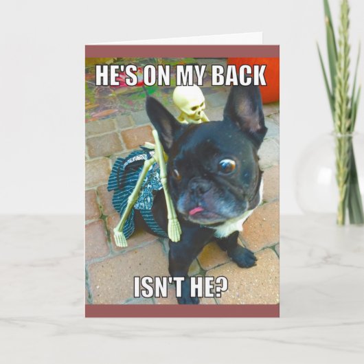 QueenFiFi Halloween Karte (Vorderseite)