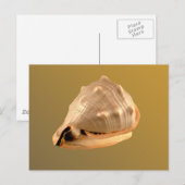 Queens Helmet Postkarte (Vorne/Hinten)