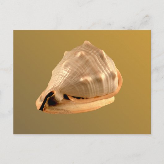 Queens Helmet Postkarte (Vorderseite)