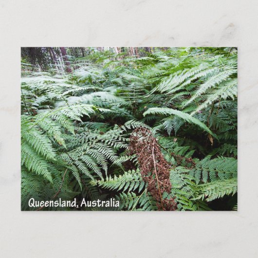 Queensland Australia Postcard Postkarte (Vorderseite)