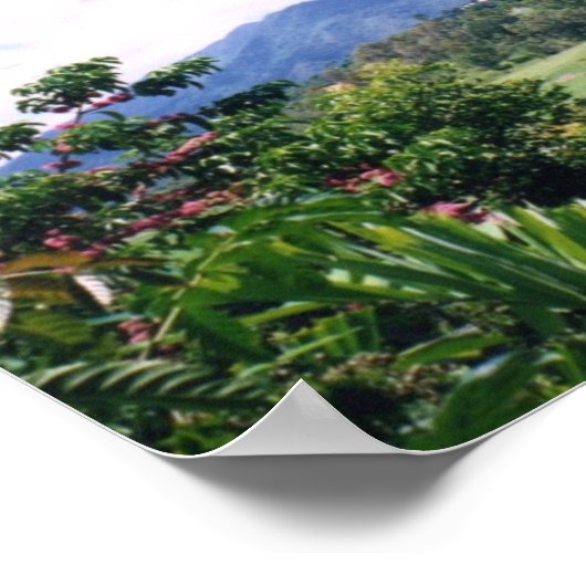 Queensland Poster (Ecke)