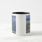 Queenstown, Neuseeland Tasse (Zentrum)