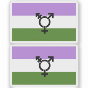 Queer - Geschlecht Queer Pride Aufkleber
