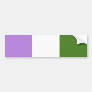 Queere Pride-Flagge Autoaufkleber