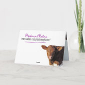 Quella&Hay BdayWishes-fertigen besonders an Karte (Rückseite)