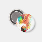 Quelle aller Rainbows Magnet (Vorderseite/Rückseite)