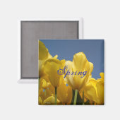 Quelle Magnet (Vorderseite/Rückseite)