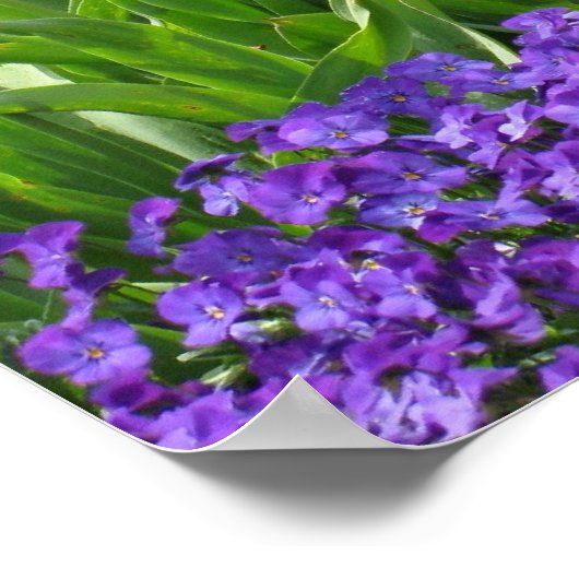 Quelle Poster (Ecke)