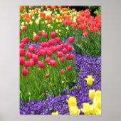 Quelle Poster (Vorne)