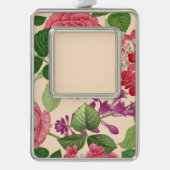 Quelle Rahmen-Ornament Silber (Vorderseite)