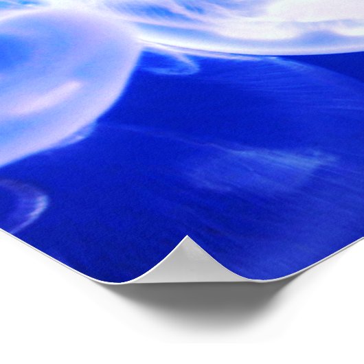 Quellyfish Deep Blue Poster (Ecke)