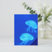 Quellyfish North Carolina Aquarium Postkarte (Stehend Vorderseite)