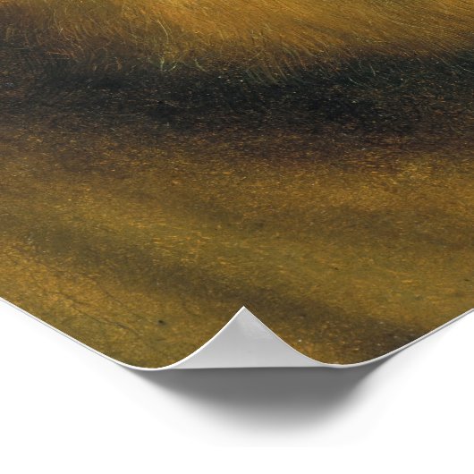 Quentin Matsys - Leiter eines alten Mannes Poster (Ecke)